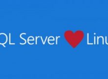 Microsoft firma parceria e leva SQL Server para Linux